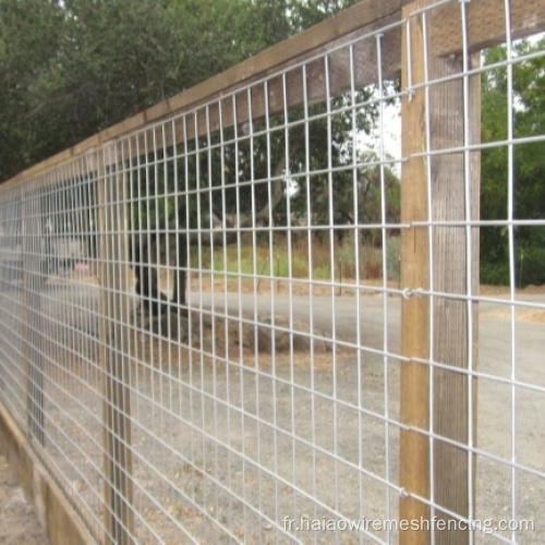 Clôture en panneau de bétail en parc d'engraissement du bétail galvanisé